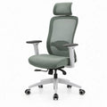 Ergonomische bureaustoel met verstelbare hoofdsteun en lendensteun, groen/grijs/wit/zwart, 64 x 64 x 116-126 cm