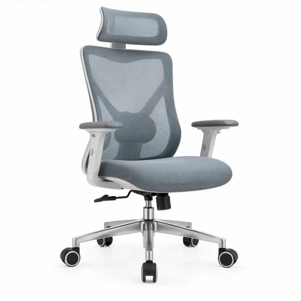 Ergonomische bureaustoel met hoofdsteun en lendensteun, grijs/zilver/zwart, 66 x 66 x 118-128 cm